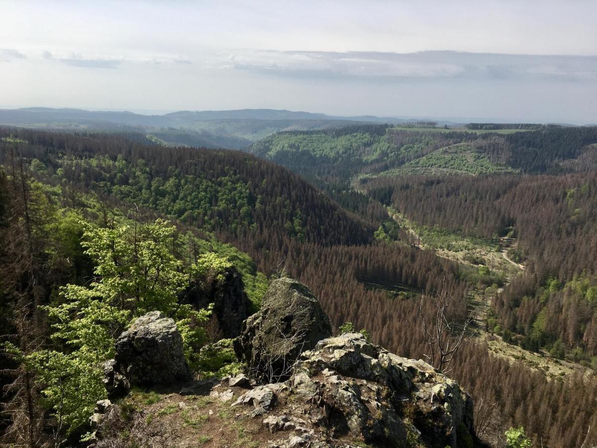 Bergwelt Braunlage Leilighet Eksteriør bilde