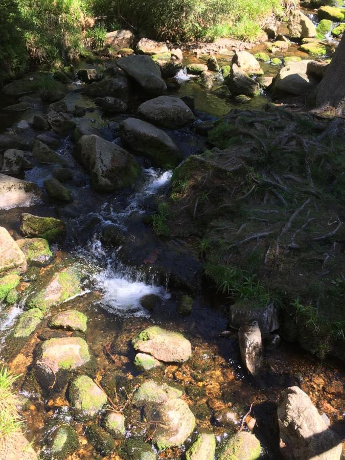 Bergwelt Braunlage Leilighet Eksteriør bilde